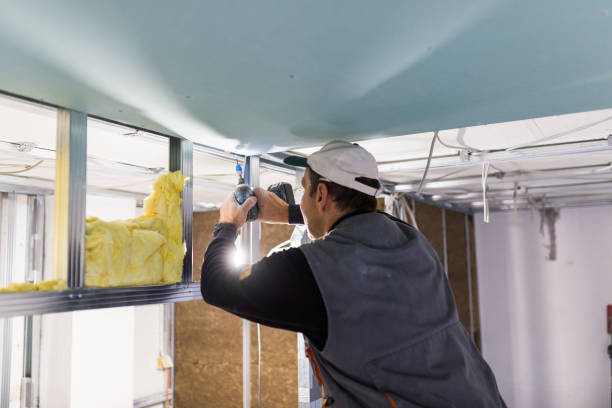 Best Commercial Insulation in Leakesville, MS